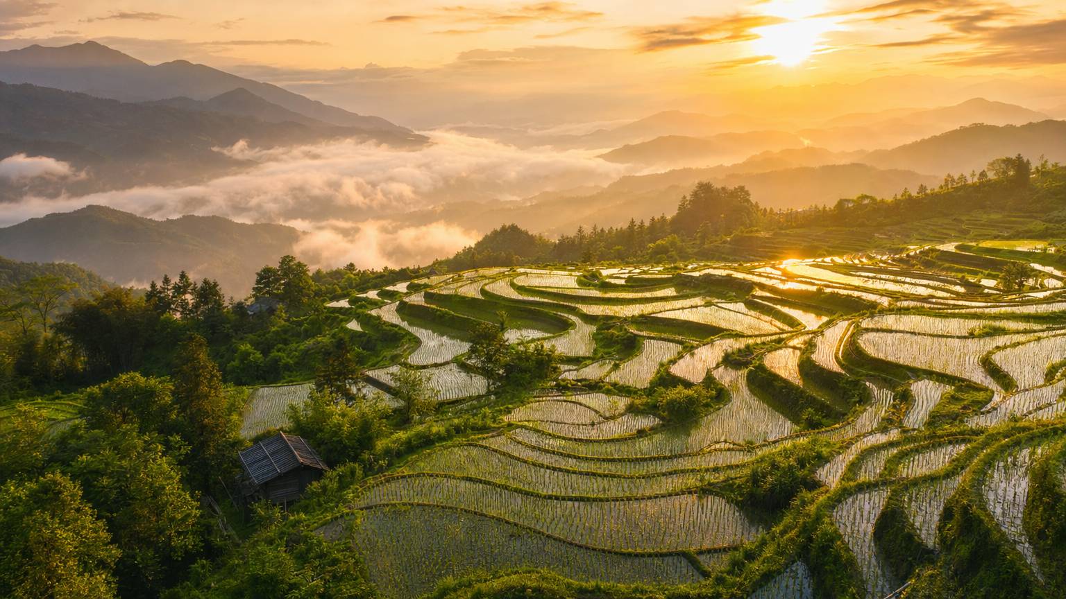 平台旅行mv精选